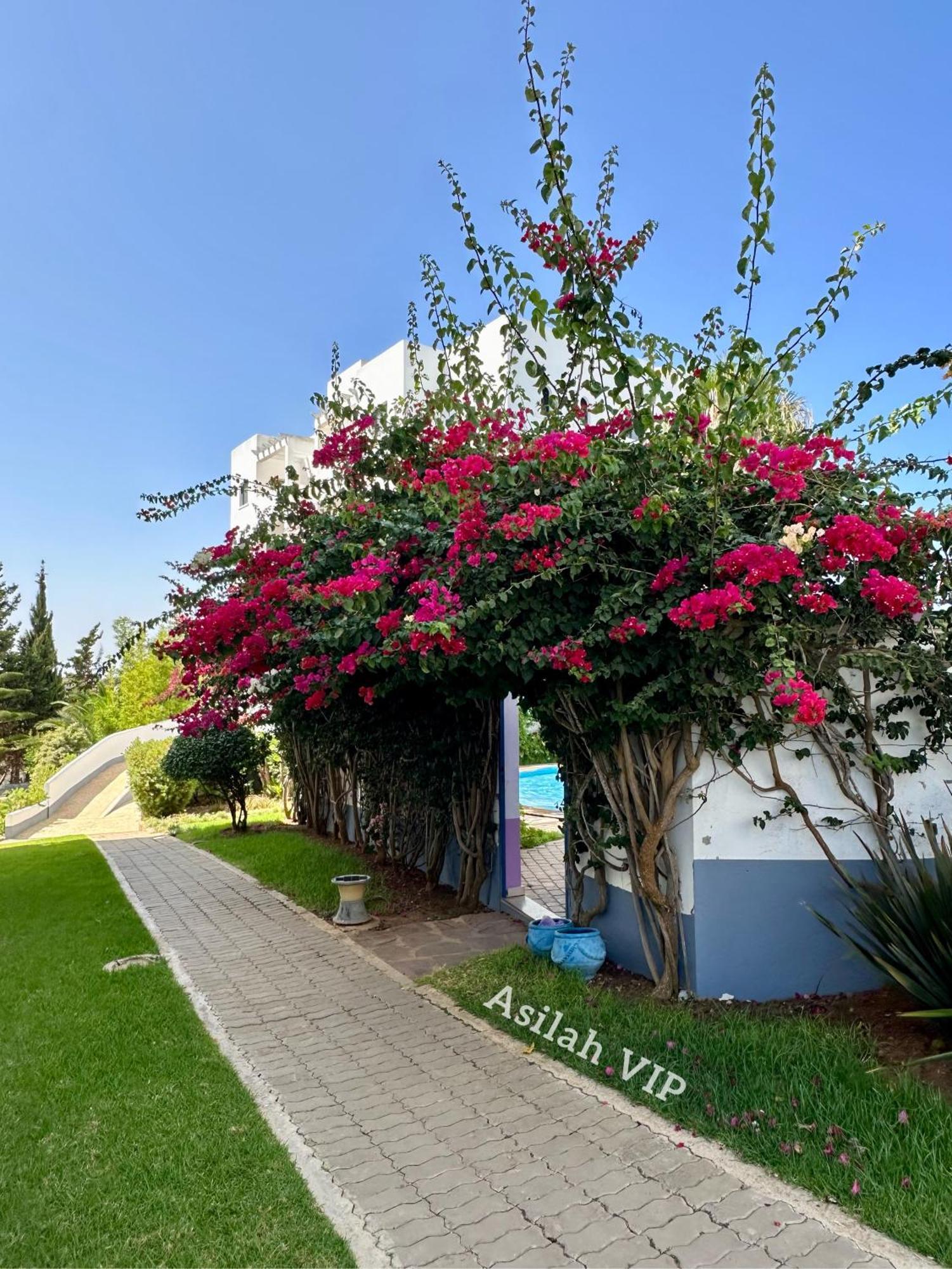 Asilah Vip - Haut Standing - Vue Mer - Piscines - Plage A 5 Minute - Garage Privee - Acces Pmr Extérieur photo